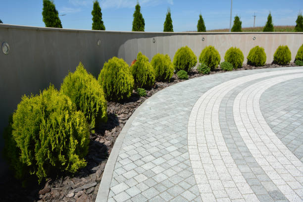 Best Local Driveway Pavers  in Rowland, NC